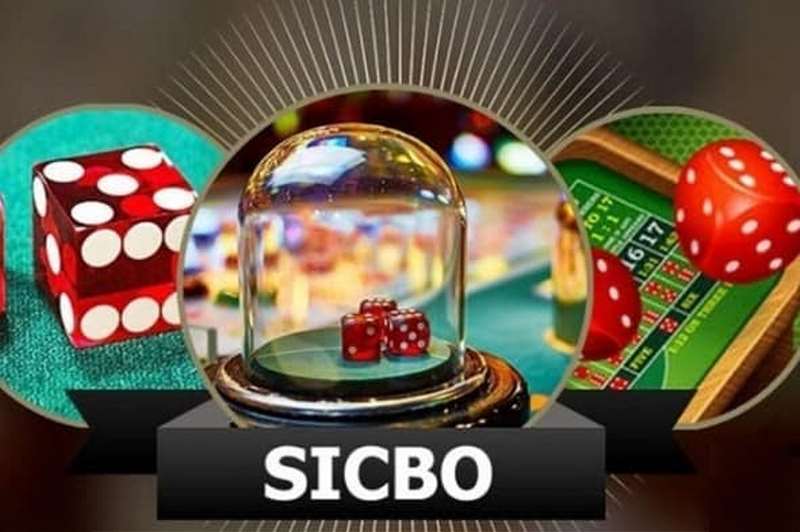 Trò chơi Sicbo rất phổ biến trong các nhà cái trực tuyến